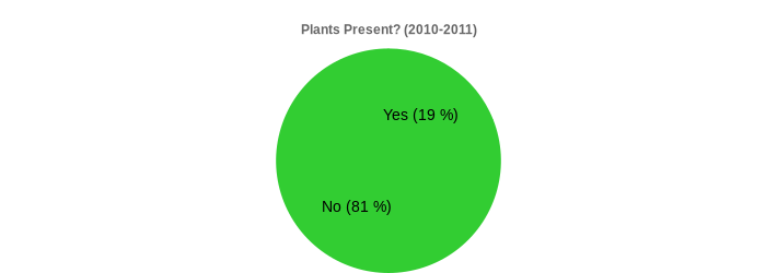 Plants Present? (2010-2011) (Plants Present?:Yes=19,No=81|)