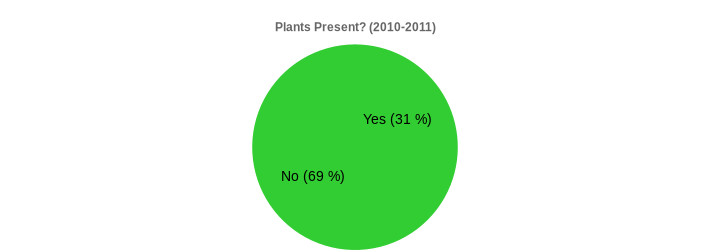 Plants Present? (2010-2011) (Plants Present?:Yes=31,No=69|)