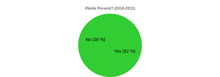 Plants Present? (2010-2011) (Plants Present?:Yes=62,No=38|)