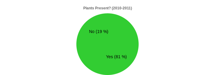 Plants Present? (2010-2011) (Plants Present?:Yes=81,No=19|)