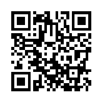 QR Code for King's Pizza Menu | WincFood | Winchester, VA