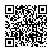 QR code for online version