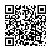 QR code for online version