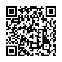 QR code for online version