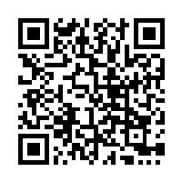QR code for online version
