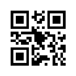 Código QR Seguro