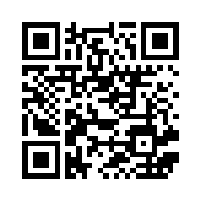 QR Code for Buffalo Wild Wings Menu | WincFood | Winchester, VA