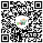 Profile QR Code