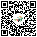 Profile QR Code