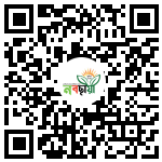 Profile QR Code