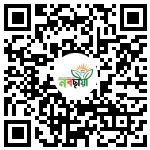 Profile QR Code