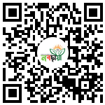 Profile QR Code