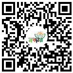 Profile QR Code