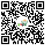 Profile QR Code