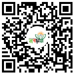 Profile QR Code