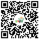 Profile QR Code