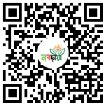 Profile QR Code