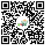 Profile QR Code