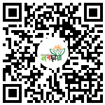 Profile QR Code