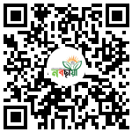 Profile QR Code