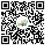 Profile QR Code
