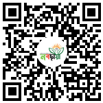 Profile QR Code