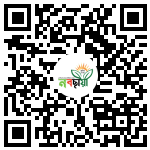 Profile QR Code