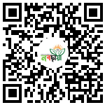 Profile QR Code