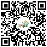 Profile QR Code