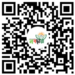 Profile QR Code