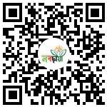 Profile QR Code