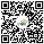 Profile QR Code
