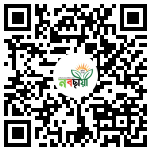 Profile QR Code
