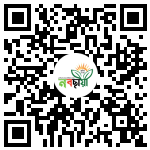Profile QR Code