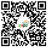 Profile QR Code