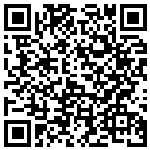 QR code for Gutter Frame Heavy Duty with Brakes