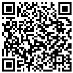 QR code for Red Gum Titan 590mm 200kg SP Wheelchair