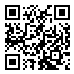 QR-код MAX