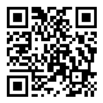 QR code for the official Vision Concern website