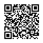 2024年国际志愿者日