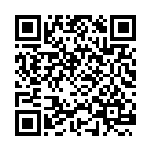 花艺凝温情  馨香社科院—我院开展插花艺术体验活动