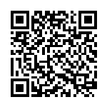 安晓明：河南推动空中、陆上、网上和海上丝绸之路的做法、成效与建议