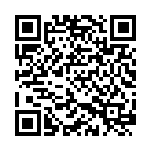 李太淼：坚决纠治形式主义官僚主义