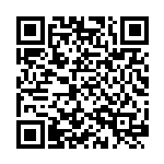 着力推进黄河文化旅游带建设