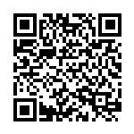 任晓莉：构建双循环新发展格局的四个关键词