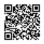 林园春：推动跨境电商高质量发展