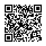 任晓莉：构建河南对外开放新体制推进新一轮更高水平开放