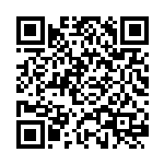 张新斌：找准黄河文化的河南定位 打造黄河生态文化带