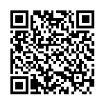 张占仓：河南持续参与共建“一带一路”仍需再发力