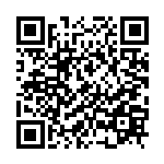 共话使命担当  贡献巾帼力量